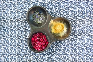 Hidden Bloom skincare by Rowan Tree Wellness in Santa Fe New Mexico