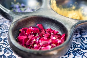 Hidden Bloom skincare by Rowan Tree Wellness in Santa Fe New Mexico