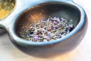 Hidden Bloom skincare by Rowan Tree Wellness in Santa Fe New Mexico