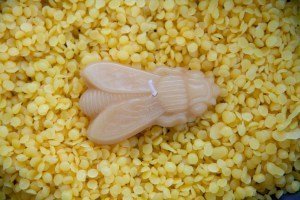 Hidden Bloom skincare by Rowan Tree Wellness in Santa Fe New Mexico