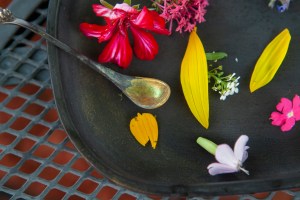 Hidden Bloom skincare by Rowan Tree Wellness in Santa Fe New Mexico