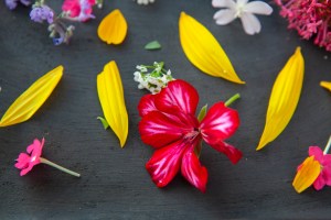 Hidden Bloom skincare by Rowan Tree Wellness in Santa Fe New Mexico