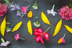 Hidden Bloom skincare by Rowan Tree Wellness in Santa Fe New Mexico